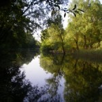 This is where I'll be fishing tomorrow!