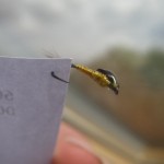 IMGP2356