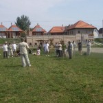 Stoats demo