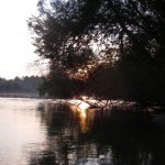 Evening sun (much more likely I know)