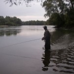 Low water conditions, apparently ideal
