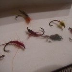 Bit of an evening flytying session.