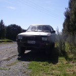 The Beast