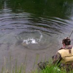 Fish on!
