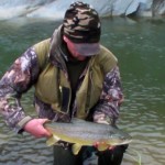 Nice fish.