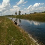 Into a fish!