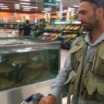 He spots a shoal of carp.