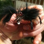 And I tie Blackie