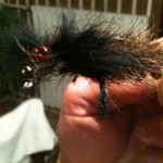 Another exciting shot of Blackie