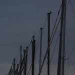 Masts (nautical term).