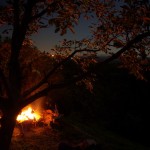 Nightshot from Zsofi.