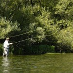 Stoats throwing a Single Spey.
