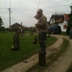 Stoats making the very risky saltwater cast in the Danish Games.
