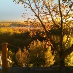 Autumn evening light at Latohegy.
