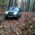 Driving through a leafy forest.