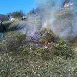 Clearing some 200 barstool christmas trees