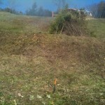 And of course preparing a Bonfire as well