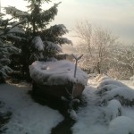 First snows of the Hungarian winter. Covering my Gyekenyes pike ship.