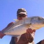 Golden Trevally