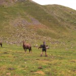High in the mountains with the horses.