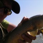 Barbel on nymph