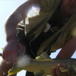 Barbel in Spain, my biggest.