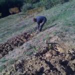 The digging of the terraces