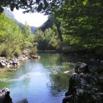 The Kupa in Croatia/Slovenia