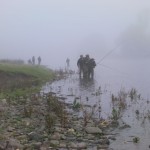Misty morning assessments