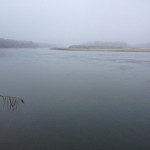 Winter (almost) fishing on the Drava.