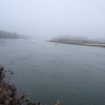 Downstream no sign of life.