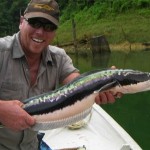 Bigger Snakehead