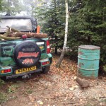 The insects that are not in the woods are now in the Jimny.