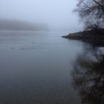 The Drava upstream.