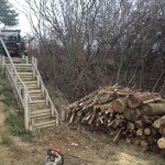 Campfire wood. TomTom doing catshit.