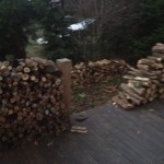 The wood pile!