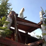 Tomtom on the casting platform.