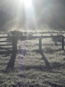 An early start to get on the river first. The frost made it hard to warm up my feet!