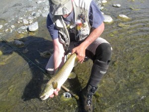 A decent brown..