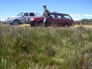 Sean has my truck in NZ and I have his car over here.