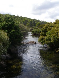 A clear, clean stream. No need to carry water here.