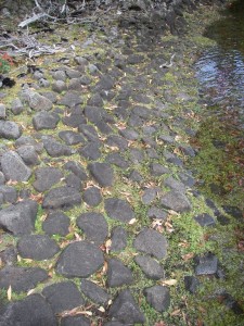 This lake edge looks man made! (it's not!!)