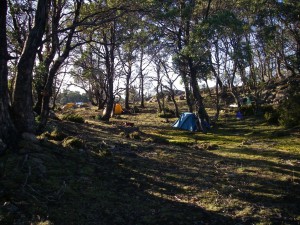 Camp.