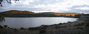 Last light on the distant trees from camp.