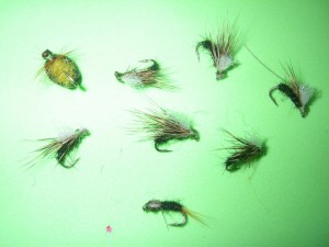 Preparation for Burbury. Gota have a beetle!
