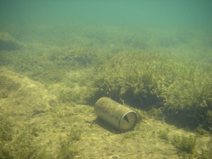 These cans have been out of production for years but it amazes me how many I see thrown in the Western Lakes in perfect condition. Still litter though!