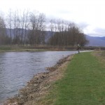 Akos fishing a corner. Still very early as the trees reveal.
