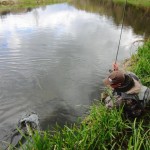 Into a fish. (it's a big one).