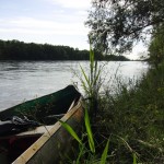 Drava.