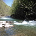 A beautiful river. Not many big trout in evidence, but they do exist!